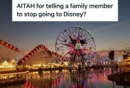 Husband Gave Honest Disney Travel Advice To His Wife’s Cousin, But She Didn’t Take It Very Well
