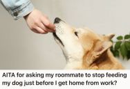 His Roommate Kept Feeding His Dog Without Being Asked, So Now He Feels Like He’s Losing A Special Bonding Moment With His Pet