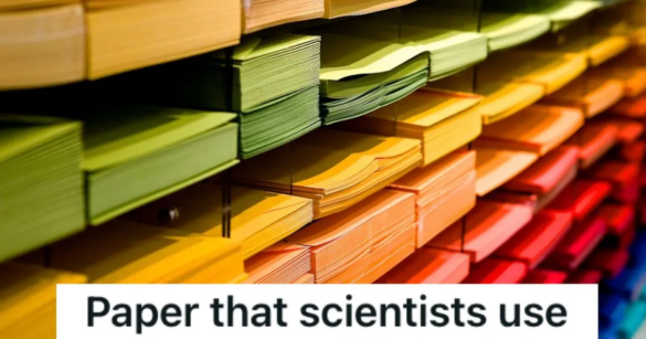 Different colors of paper stacked on shelves