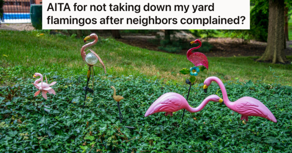 yard flamingos in green grass