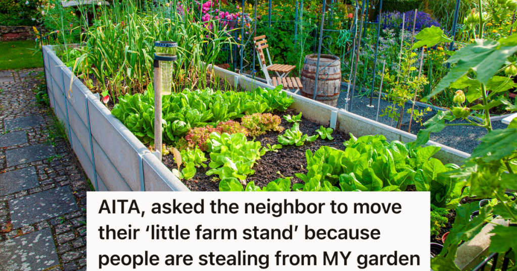 residential garden with raised garden beds