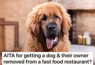 Woman Eats In A Fast Food Restaurant With Her Dog, But Another Customer Complains About The Hair