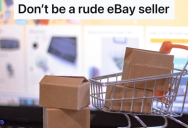 eBay Seller Is Rude To Customer Who Asks A Question, So The Customer Reports Them