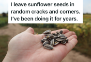 Most People Ignore Cracks In The Sidewalk And Empty Planters, But This Person Plants Unexpected Joy