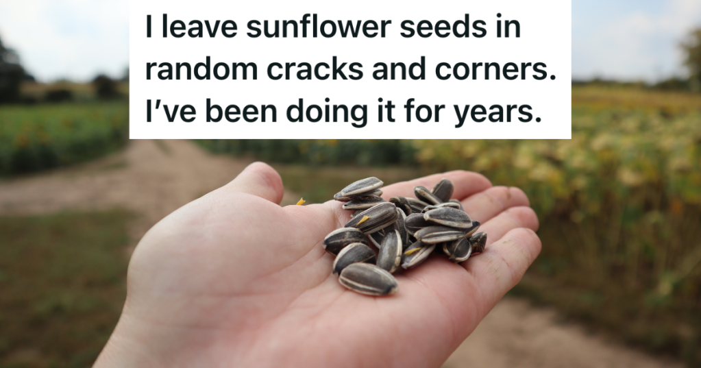 person holding sunflower seeds in their hand