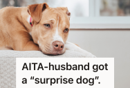 Husband Brings Home A Dog, But His Wife Is Not At All Happy And Tries To Avoid It