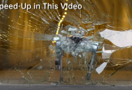 Unitree’s New Robot Dog Isn’t Just Cute, It’s Incredibly Strong