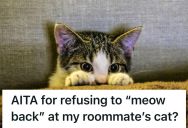 Cat Obsessed Roommate Insists That She Respond To Her Cat In Cat Language When She Meows At Her, But She Finds That Ridiculous