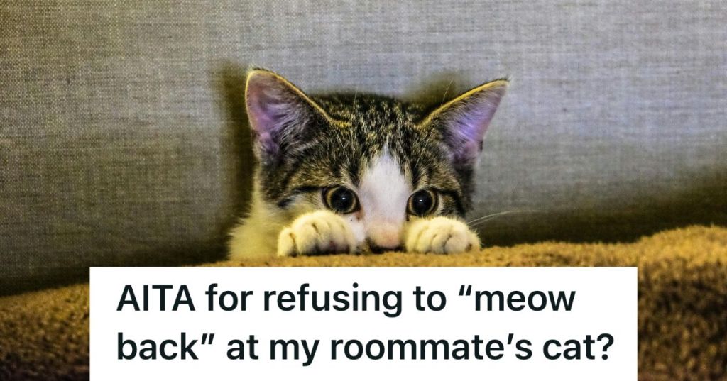 A cat partly hiding behind a pillow