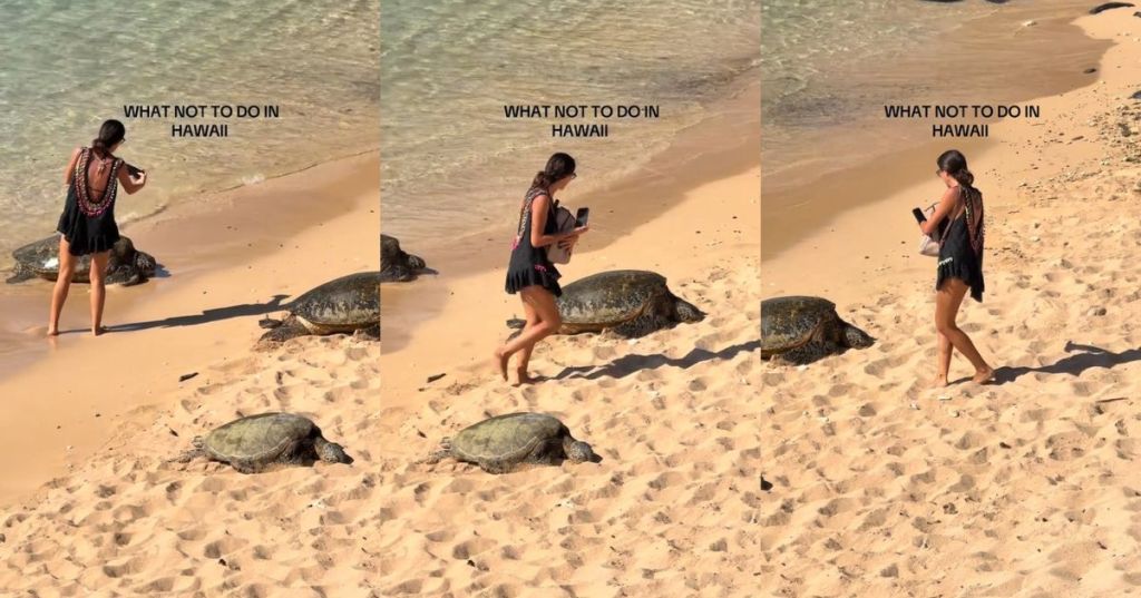 A woman on a protect beach in Maui