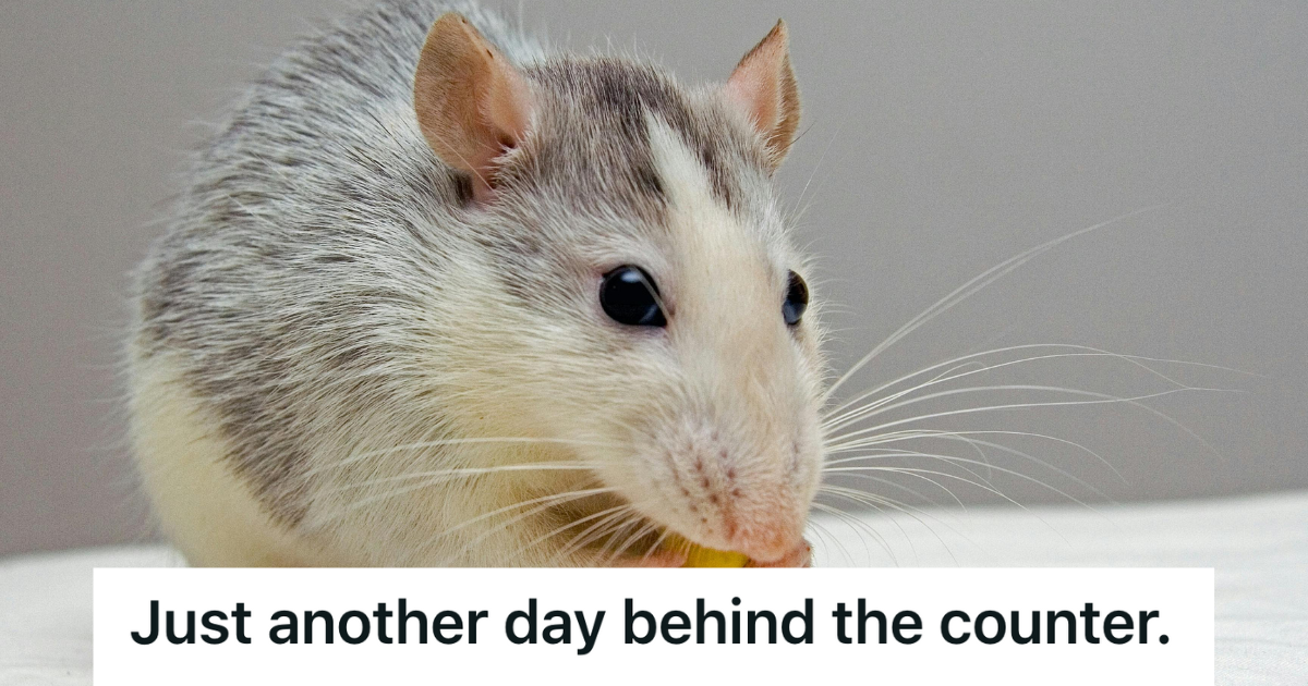 closeup image of a mouse