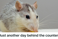 A Hidden Mouse Popped Out At The Worst Moment, So A Customer Got A Free Comedy Show