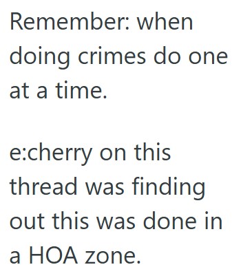comment 1 73 He Tried Multiple Times To Tell His Neighbor That Their Landscaping Project Was Violating City Law And HOA Guidelines, But He Was Told To Mind His Own Business