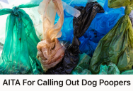 Homeowner Confronted A Dog Walker For Not Picking Up After Their Pooch, So The Walker Threw A Fit And Tried To Turn The Neighborhood Against Them