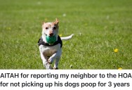 Neighbor Lets Dogs Ruin A Homeowner’s Yard For Three Years, So HOA Gets Involved And He Throws A Vicious, Online Tantrum