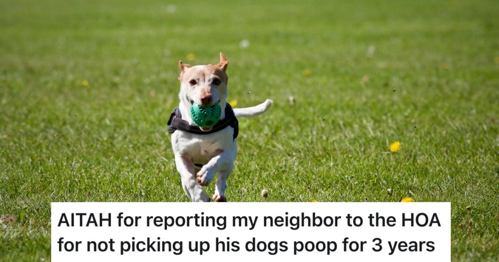 dog running with a ball in his mouth