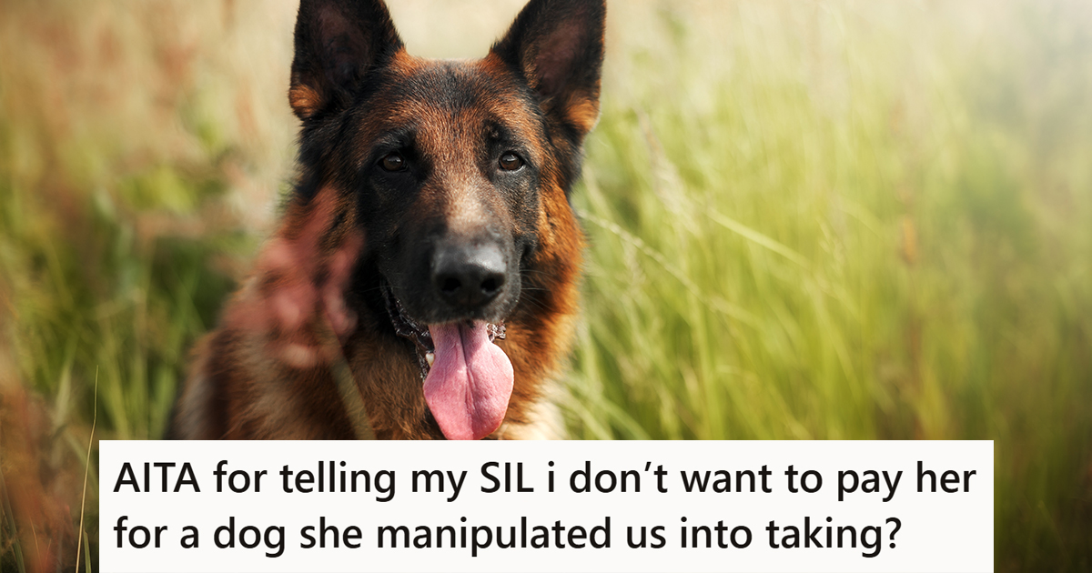 A picture of a dog with a caption that reads "AITA for telling my SIL i don’t want to pay her for a dog she manipulated us into taking?"