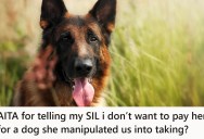 Her Sister-In-Law Demanded They Adopt Their Dog, And Then Everything Went Downhill