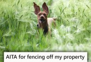 Homeowner Wants To Fence Their Yard To Protect Their Kids, But The Neighbor Says Her Dog Has “Grandfathered In” Privileges To The Yard