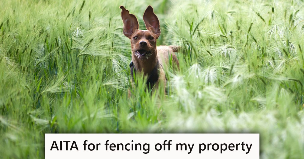 A dog in a yard with a caption that reads "AITA for fencing off my property"