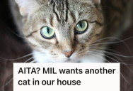 His Mother-In-Law Tried To Bring A New Cat Into Their Already Crowded Home, And When He Said No, It Sparked A Family Feud