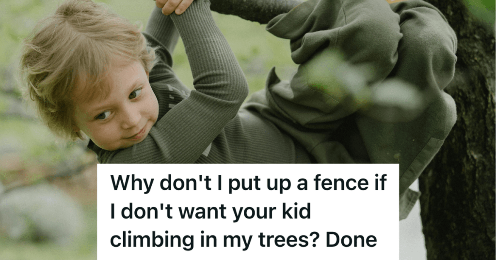 kid climbing a tree