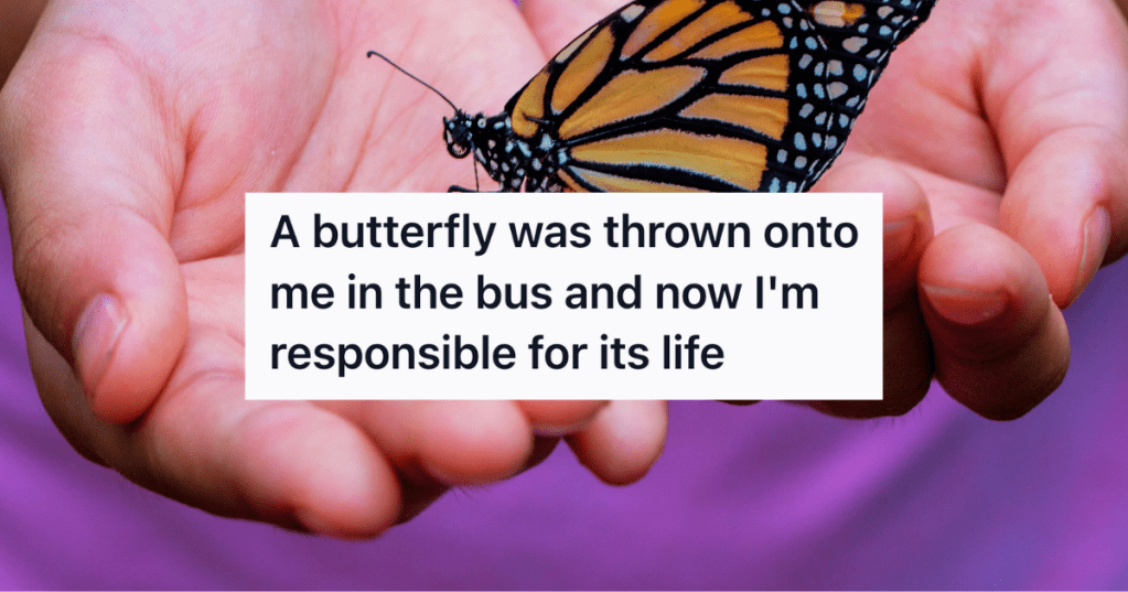 A Fragile Butterfly Landed On A Student’s Arm During A Bus Ride, So She Turned Her Trip Home Into A Heartwarming Rescue Mission