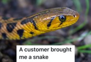 A Customer Noticed A Snake Tattoo On Their Arm, So He Brought Them A Snake He Caught