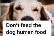 Golden Retriever Fasts For 36 Hours Straight, And It’s All Because Its Overbearing Owner Forgot To Mention One Special Tip