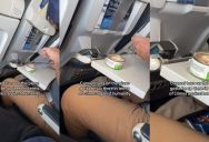 Plane Paseenger Brings Canned Tuna Onto An Airplane And Actually Opens It Up. – ‘No fly list. Immediately.’