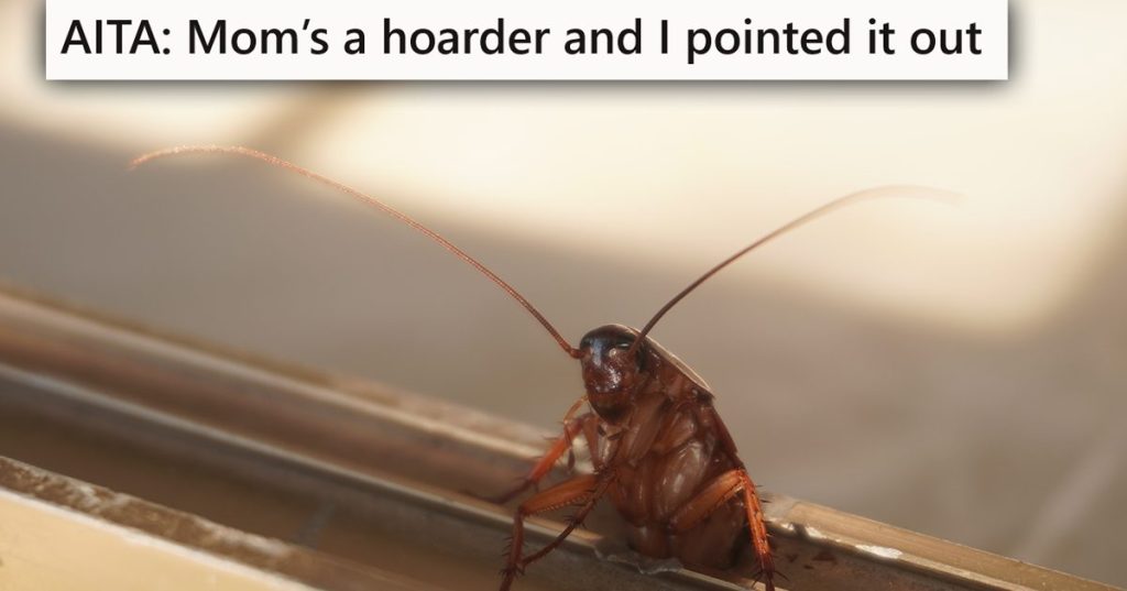 closeup of a cockroach