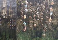 You Can Turn Your Labubus Into Stone At This Tourist Attraction. – ‘The water is so rich in minerals that it petrifies things that you hang from it.’