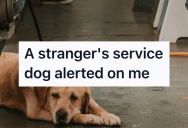 A Service Dog Refused To Leave A Stranger’s Side On A Shuttle Ride, So They Shared An Unexpected Moment Of Comfort