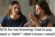 She Thought The Concert Tickets Her Friend Bought Her Were A Gift, But Now She Expects Her To Pay Her Back