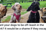 People Let Their Dogs Run Free In A Park When They Weren’t Supposed To, So City Officials Padlocked The Gates Open So Dogs Could Escape