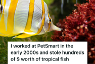 Pet Store Employee Kept False Inventory Records In The Fish Department, But It Turns Out He Was Secretly Amassing An Aquatic Empire In His Home
