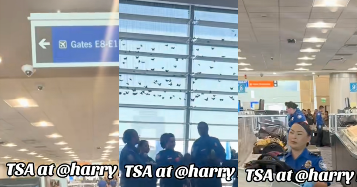 TSA workers in an airport