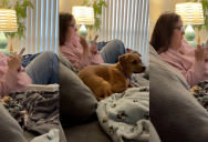 Spectrum Customer Talked About the Frustrating Experience She Had With A Customer Service Representative