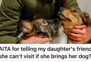 She Already Had A House Full Of Dogs, So She Refused To Let Her Daughter’s Friend Bring Another One That Wasn’t Even Trained