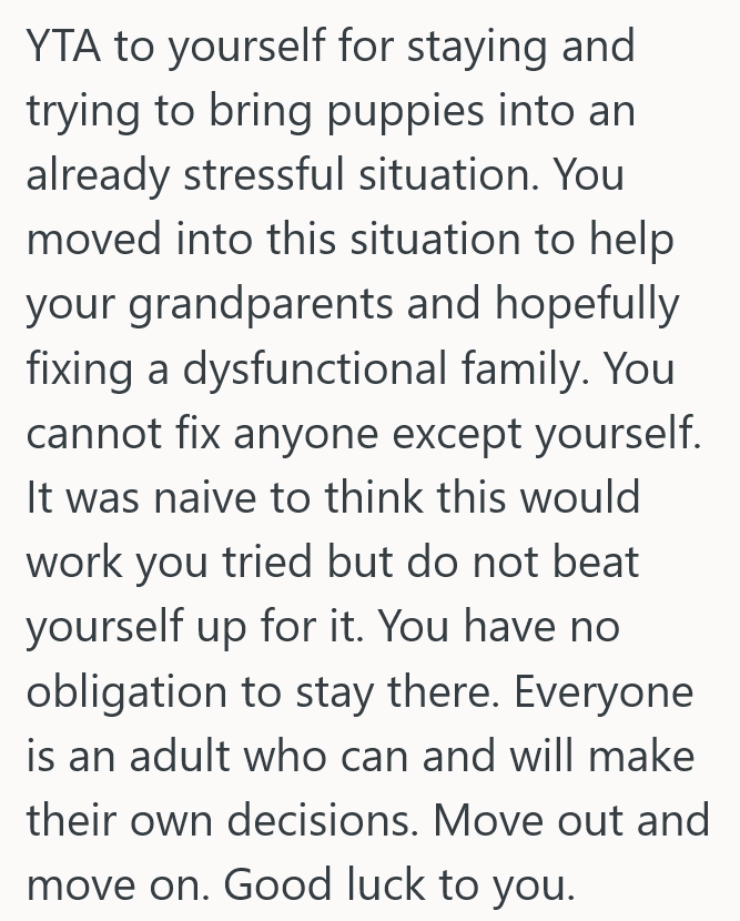 2025 09 01 20 23 34 Daugther Wanted A Puppy To Liven Up Their Multi Generational Home, But Everything Quickly Turned Very Sour