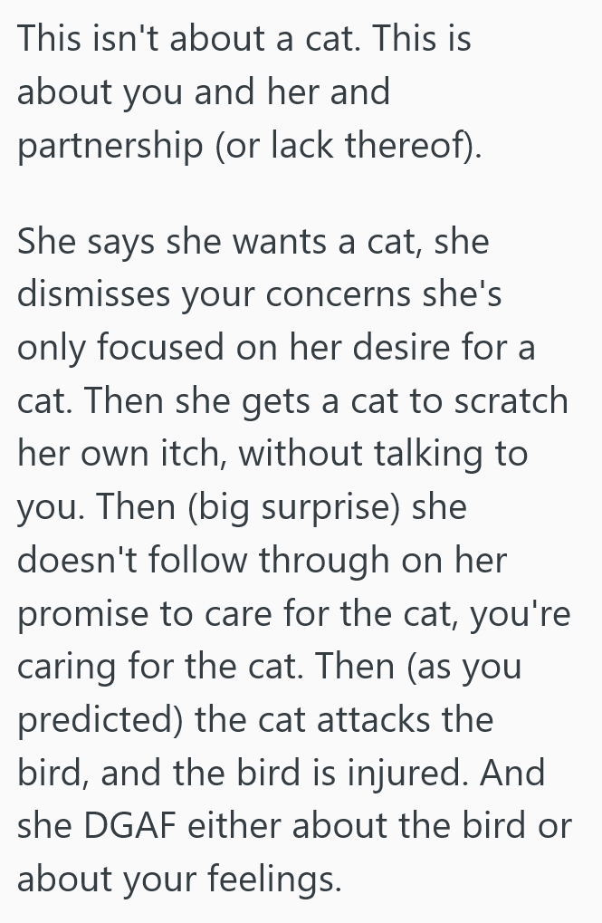2025 09 09 17 43 49 She Brought Her Pet Bird When She Moved In With Her Fiancé, But Then Her Fiancé Decided To Adopt A Cat