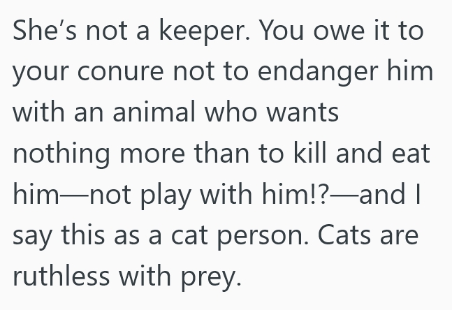 2025 09 09 17 44 04 She Brought Her Pet Bird When She Moved In With Her Fiancé, But Then Her Fiancé Decided To Adopt A Cat