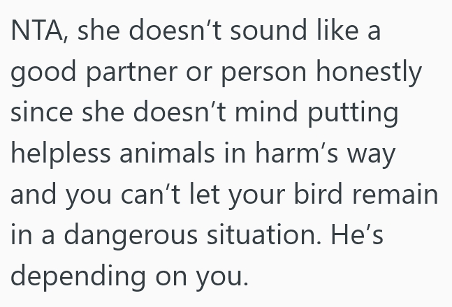 2025 09 09 17 44 34 She Brought Her Pet Bird When She Moved In With Her Fiancé, But Then Her Fiancé Decided To Adopt A Cat