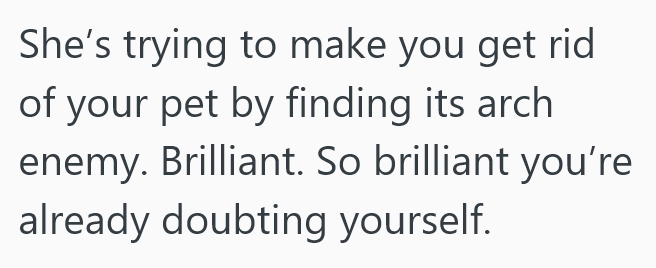 2025 09 09 17 44 44 She Brought Her Pet Bird When She Moved In With Her Fiancé, But Then Her Fiancé Decided To Adopt A Cat