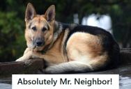 Homeowner Agreed To Keep His German Shepherd Inside Until 7AM After His Neighbor Complained About Barking, But When The Clock Hit 7, He Let The Dog Bark Nonstop