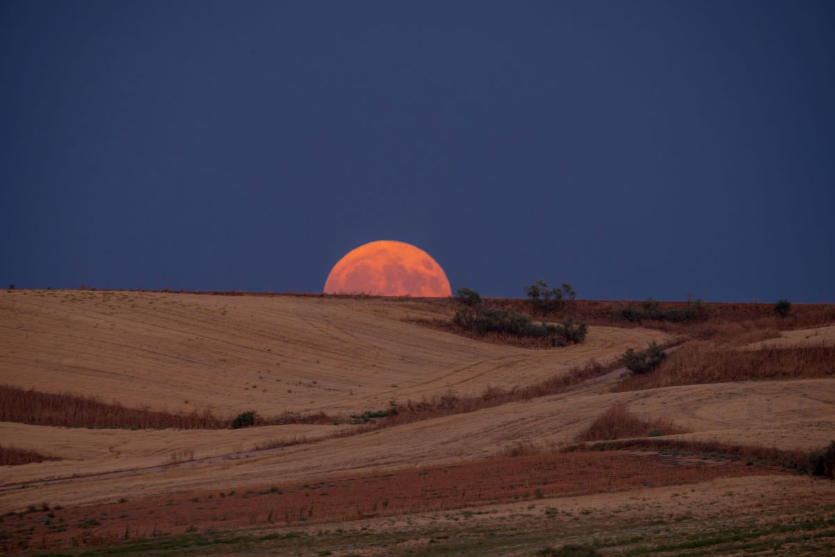 A blood Moon rising over a field