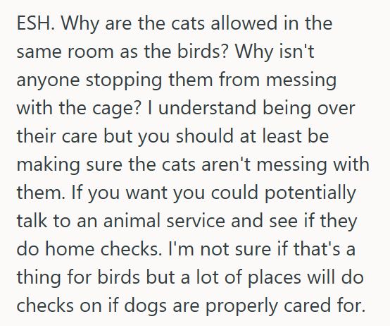 Brothers Birds 1 Sister Gets Stuck Caring For Her Brother’s Birds After He Loses Interest, So When The Cats Keep Scaling The Cage, She Threatens To Rehome Them