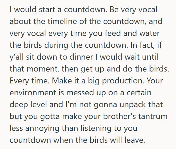 Brothers Birds 3 Sister Gets Stuck Caring For Her Brother’s Birds After He Loses Interest, So When The Cats Keep Scaling The Cage, She Threatens To Rehome Them