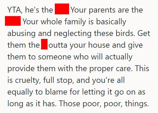Brothers Birds Sister Gets Stuck Caring For Her Brother’s Birds After He Loses Interest, So When The Cats Keep Scaling The Cage, She Threatens To Rehome Them