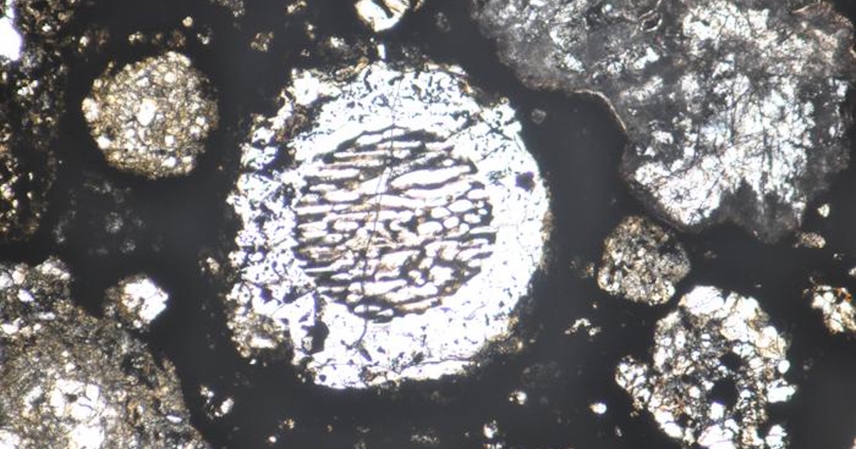 Chondrules in a meteorite sample